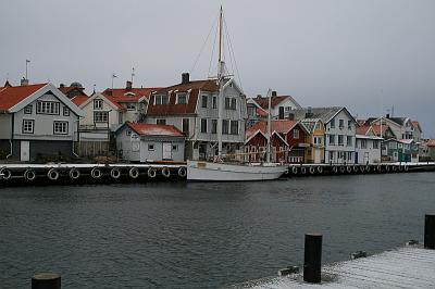 IMG_7526