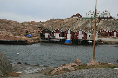 IMG_7527