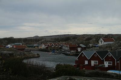 IMG_7547