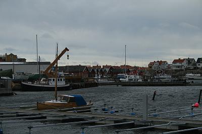 IMG_7557
