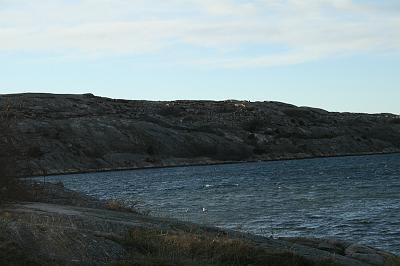 IMG_7564