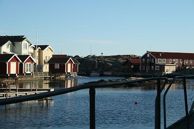 IMG_7599