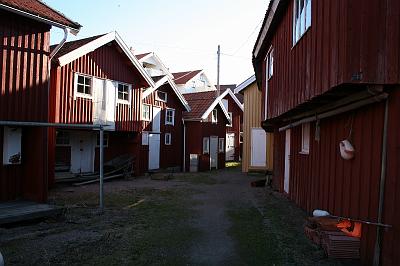 IMG_7610
