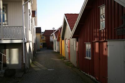 IMG_7619