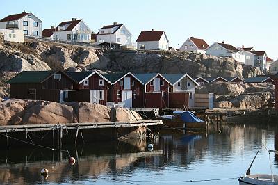 IMG_7648