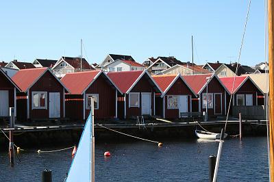 IMG_7724