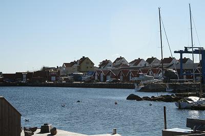 IMG_7730