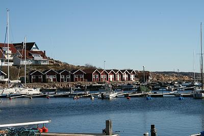 IMG_7734