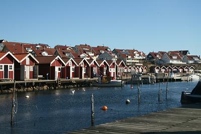 IMG_7758