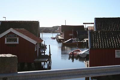 IMG_7766