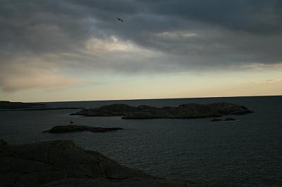 IMG_7780