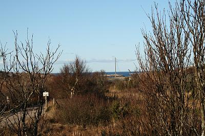 IMG_7798