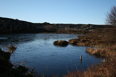 IMG_7800