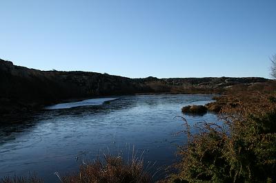 IMG_7809