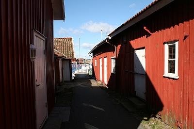 IMG_7828