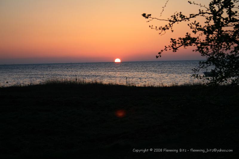 IMG_9779.JPG