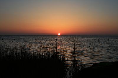 IMG_9791