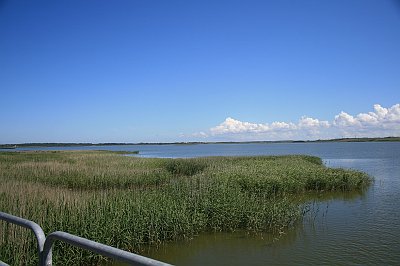 IMG_7421