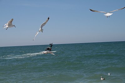 IMG_7523