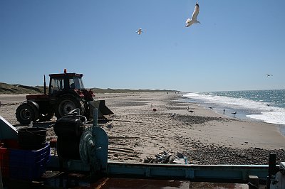 IMG_7530