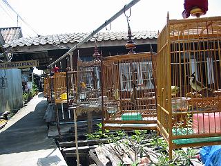 IMG_5570