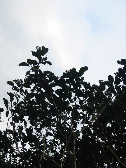 IMG_6147.JPG