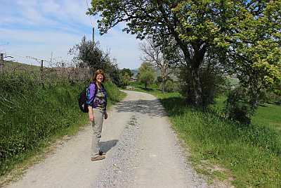 140418 Tur til Marked i Sarteano og 15 km vandretur til Chianciano Terme